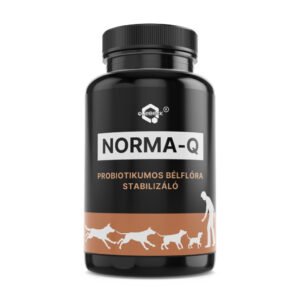 NORMA-Q probiotikumos bélflóra stabilizáló